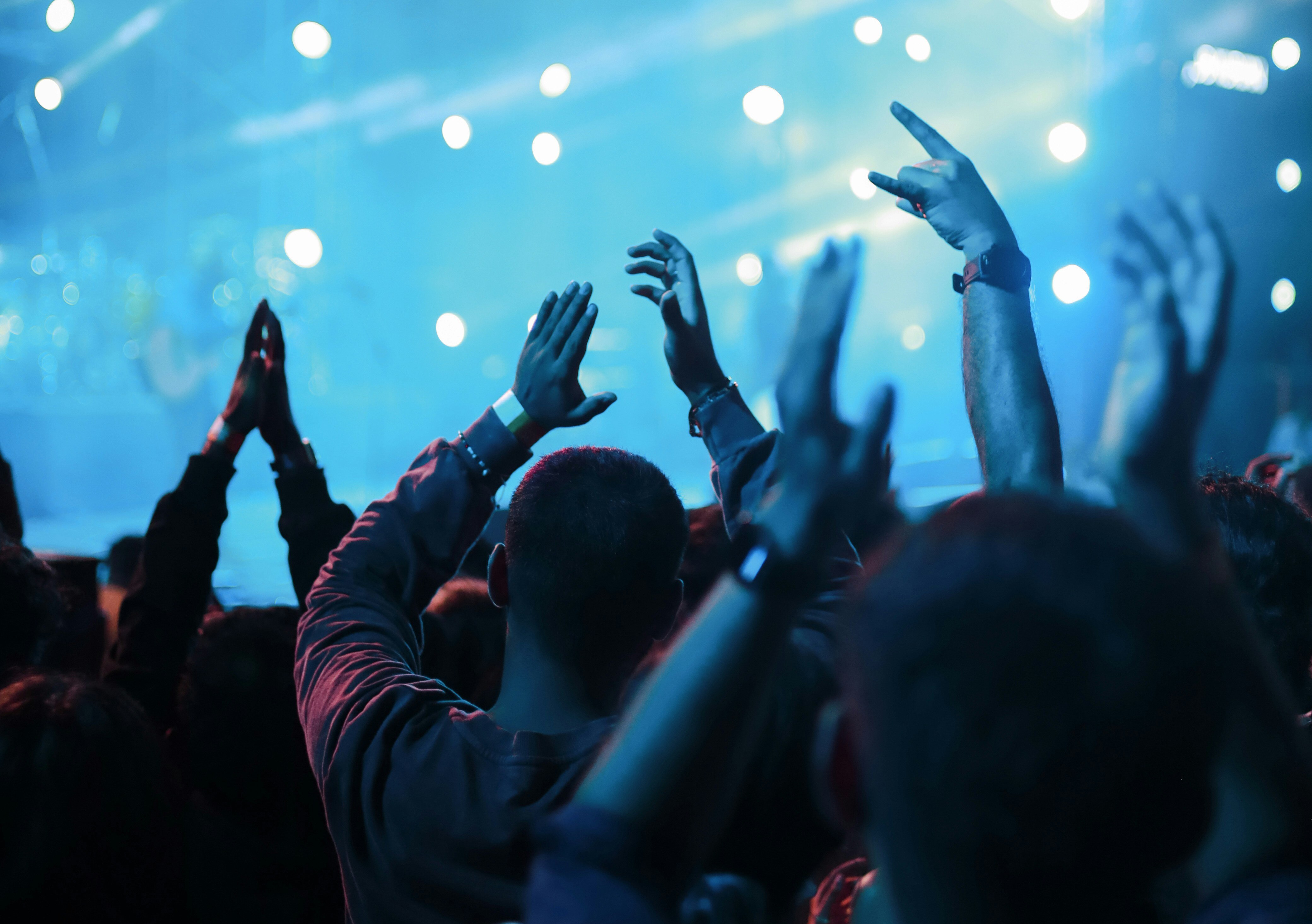 Festival Crowd